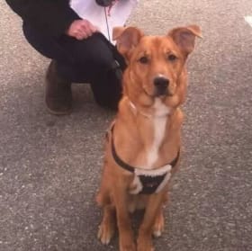 Max