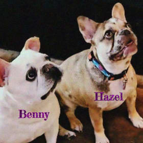 Benny Hazel