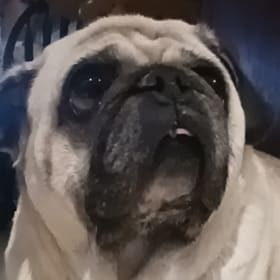 Clara
