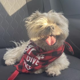 Chibby