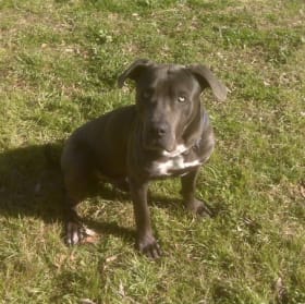 Duke