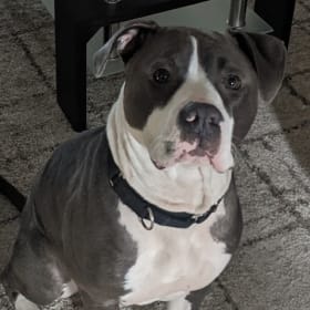 Duke