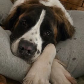 Jack