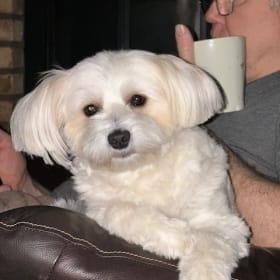 Rosie