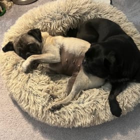 Lucy and Violet