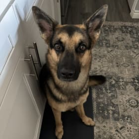 Lukas