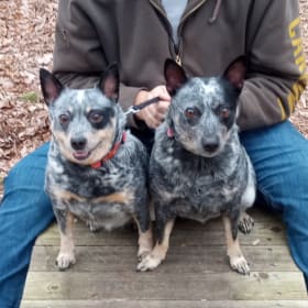 Ladybug and Bella