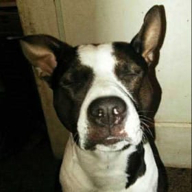 Tux
