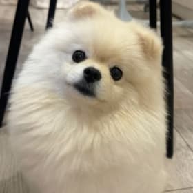 Astro