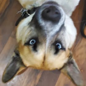 Cosmo