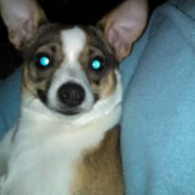 Zoe