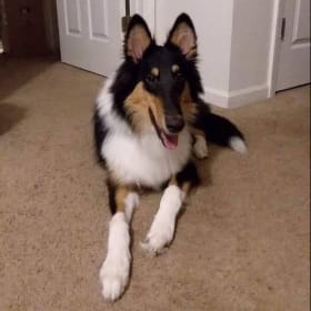 Toby Joe