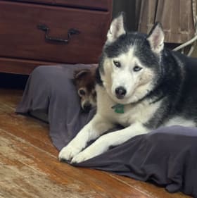 Mya and Joplin