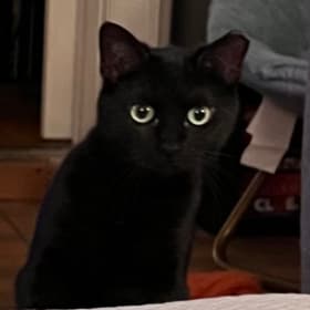 Akira