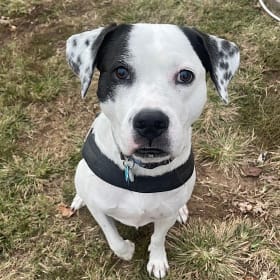 Fiona