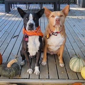 Polly and Henry