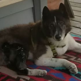 Max