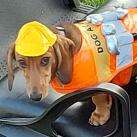 Tater Tot