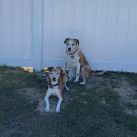 Annabelle and Cody