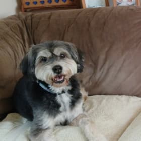 EllieMae