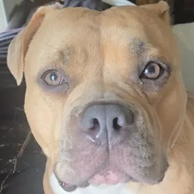 Lucy