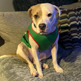 Kona