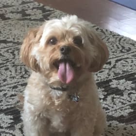 Jax