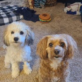Hazel and Walter