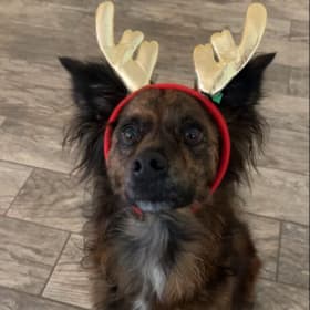 Axel
