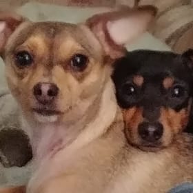 Zoey and Belle