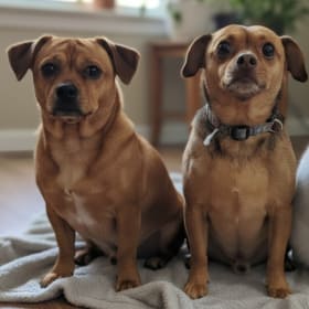 Charlie and Olivia