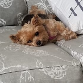 Ellie