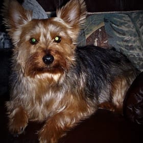 Tucker