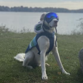 Falkor