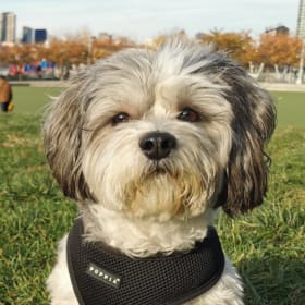 Charlie