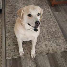 Maggie