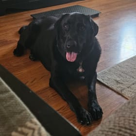 Zeke