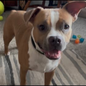 Max