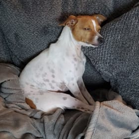 Tucker