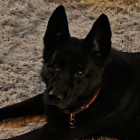 Jax