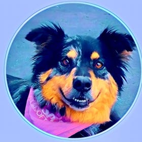 Bella Bleu