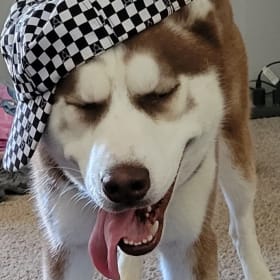 Loki