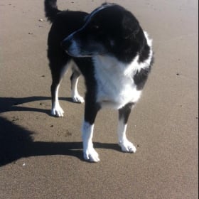 Lucy