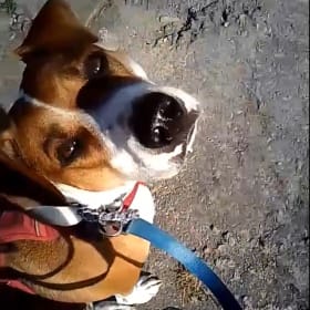 Skye