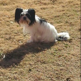 ZOEY