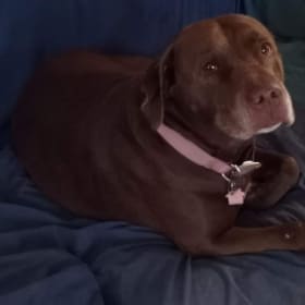 Mimi