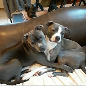 Jack and Sherman