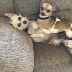 Mimi and Paco