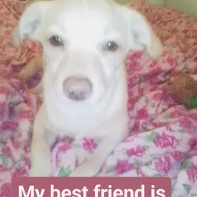 Sam