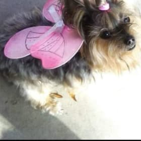 Bailey